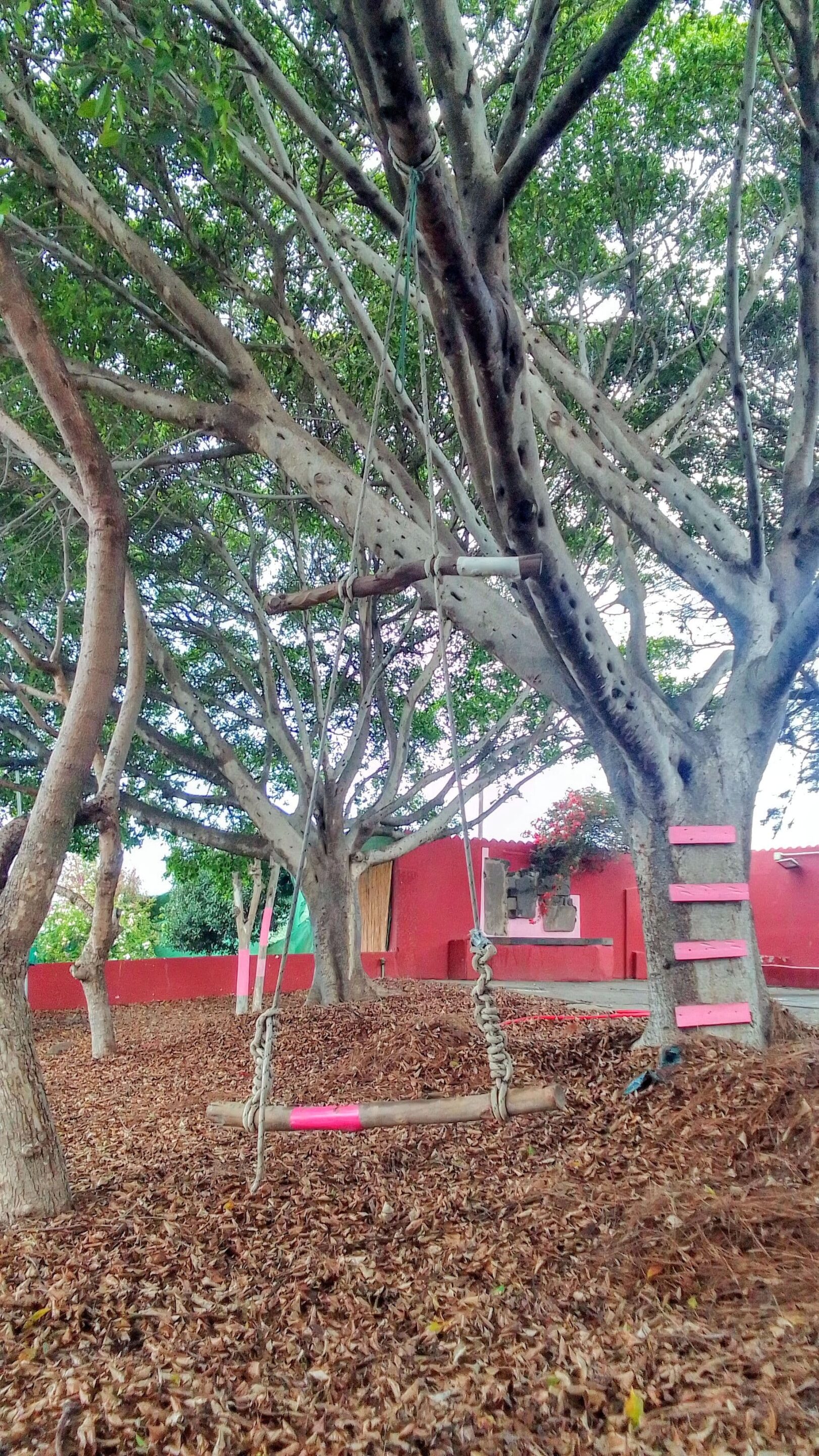 sitios para celebrar cumpleaños en las palmas