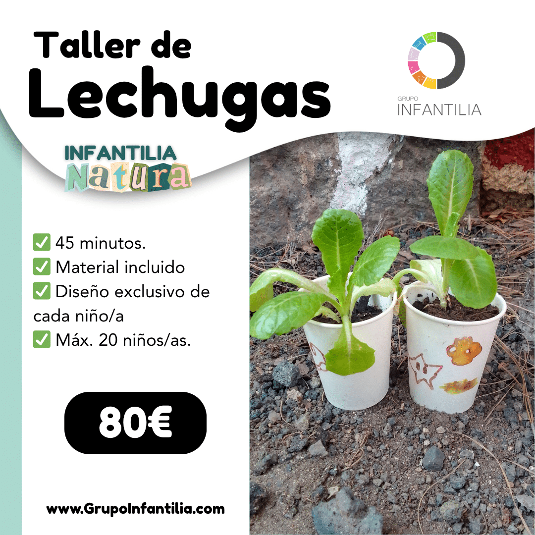 Taller de Lechugas