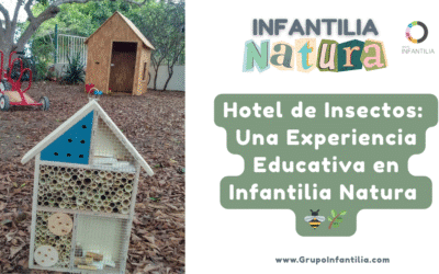 Hotel de Insectos en Las Palmas: Una Experiencia Educativa en Infantilia Natura 🐝🌿